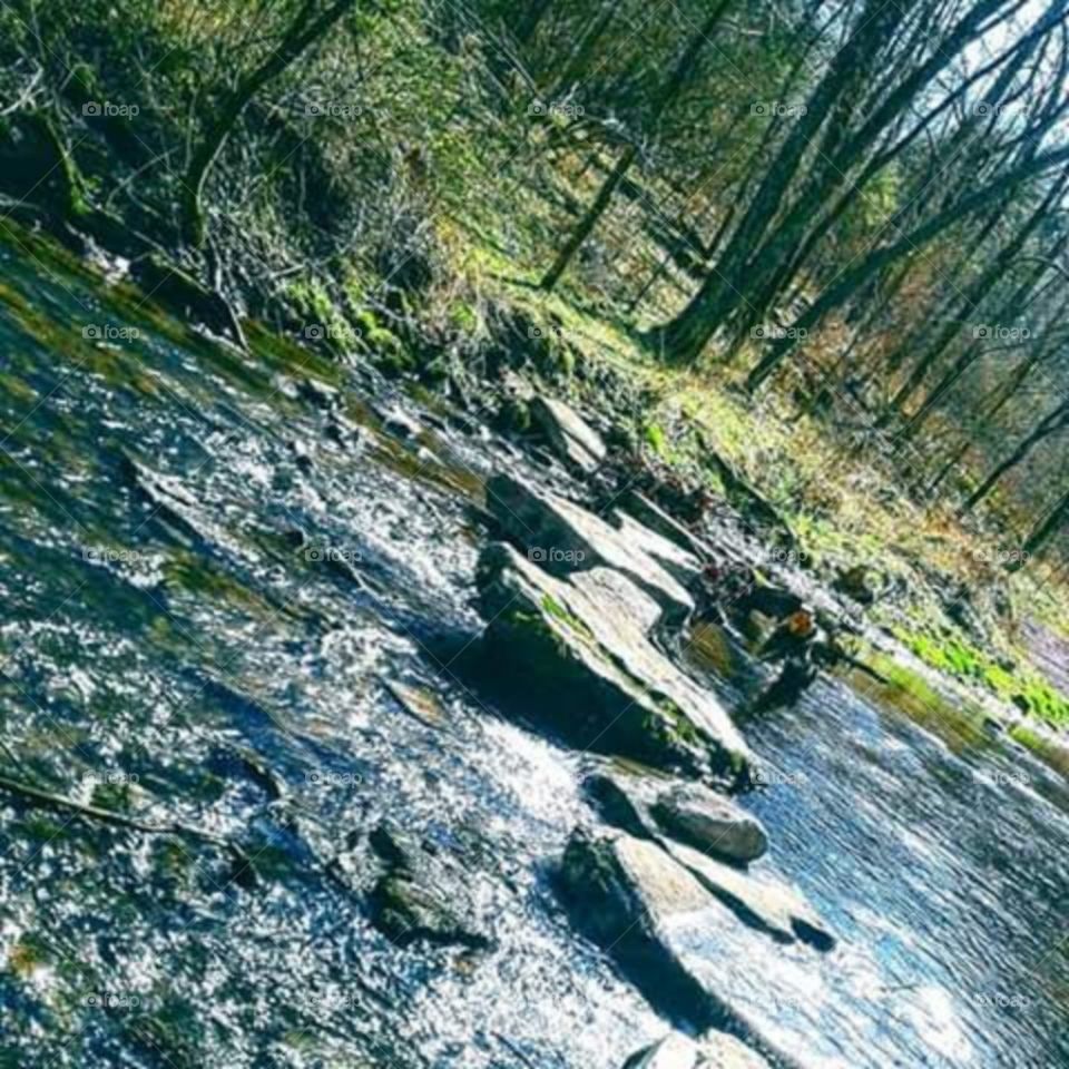 stepping stones across stream
