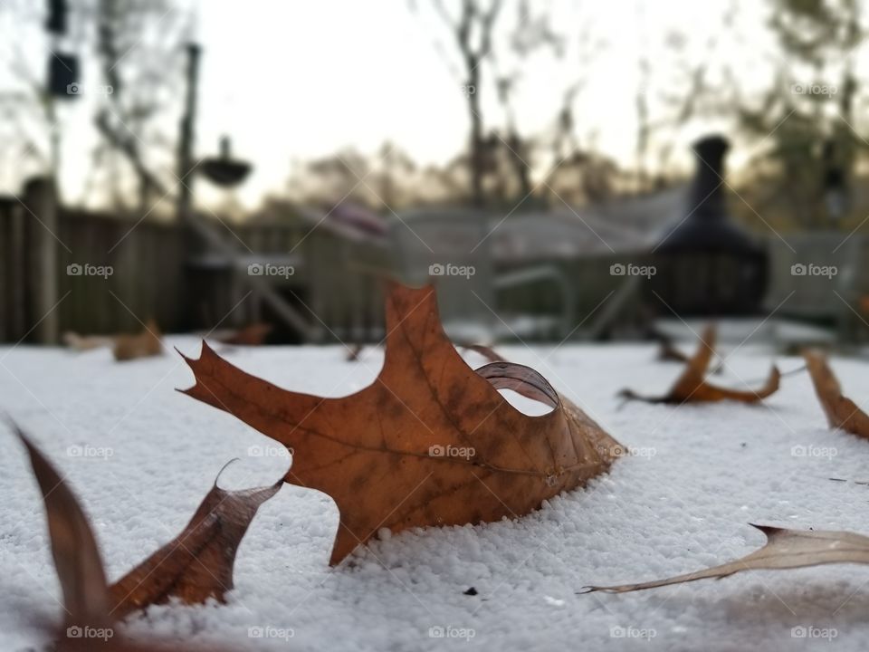 Big Arkansas Sleet Snow