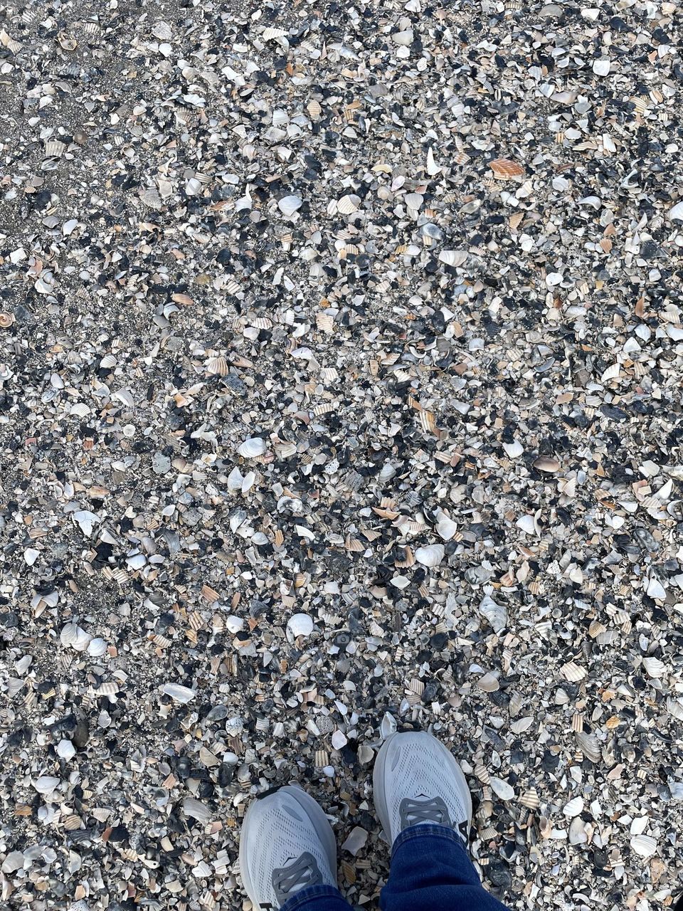 Standing on shells