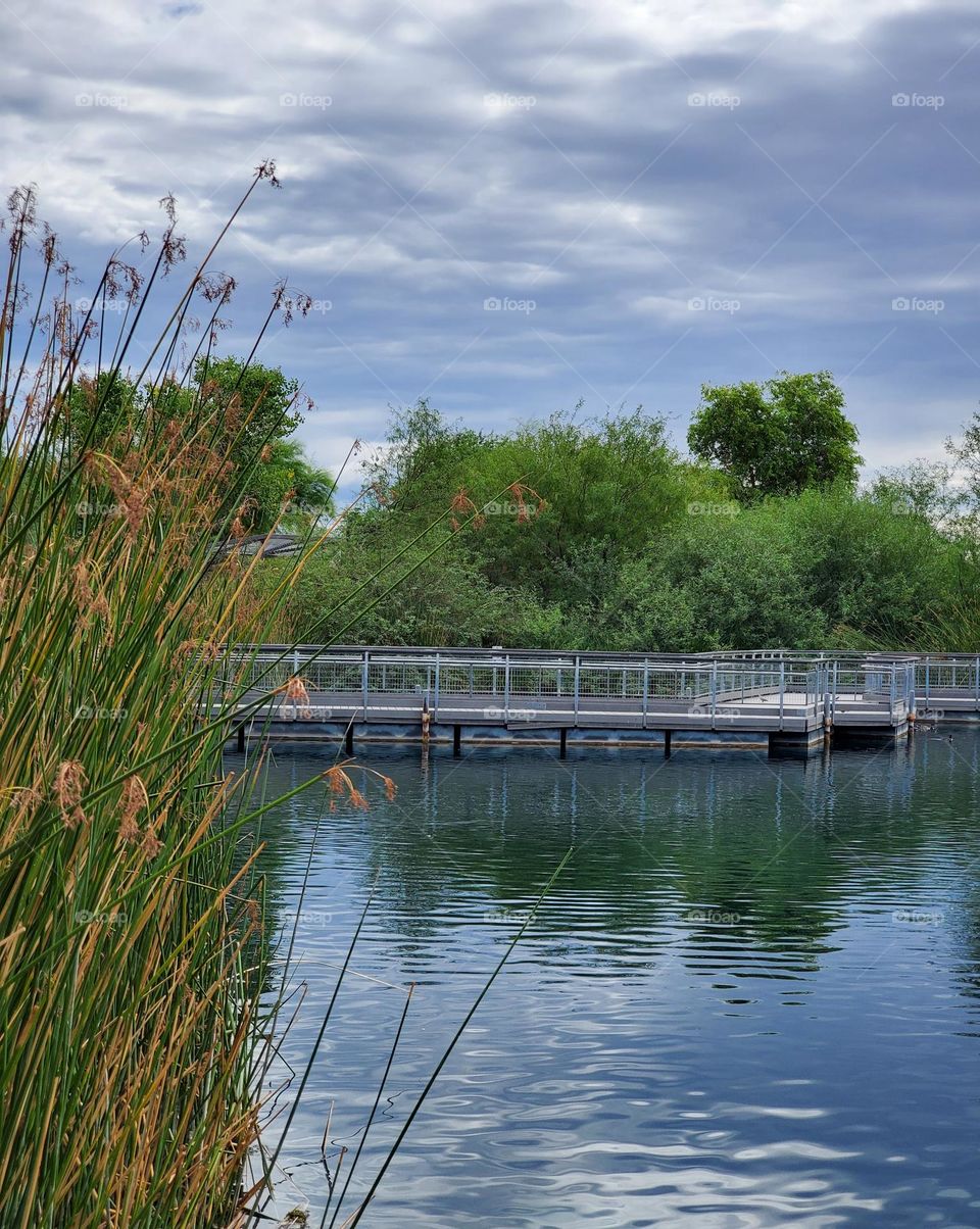 Cloudy Day at the Lake