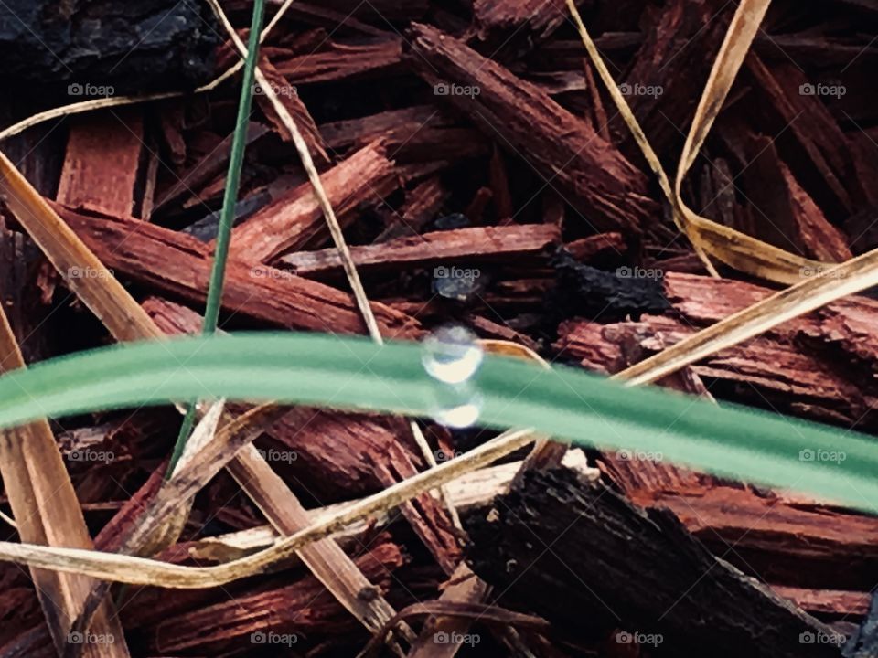 I love the simplicity of dew 