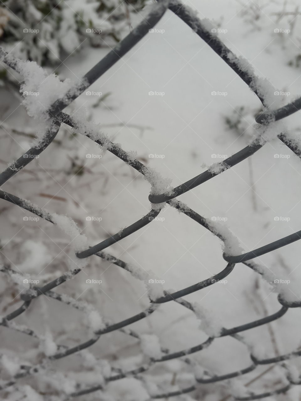 winter wire white