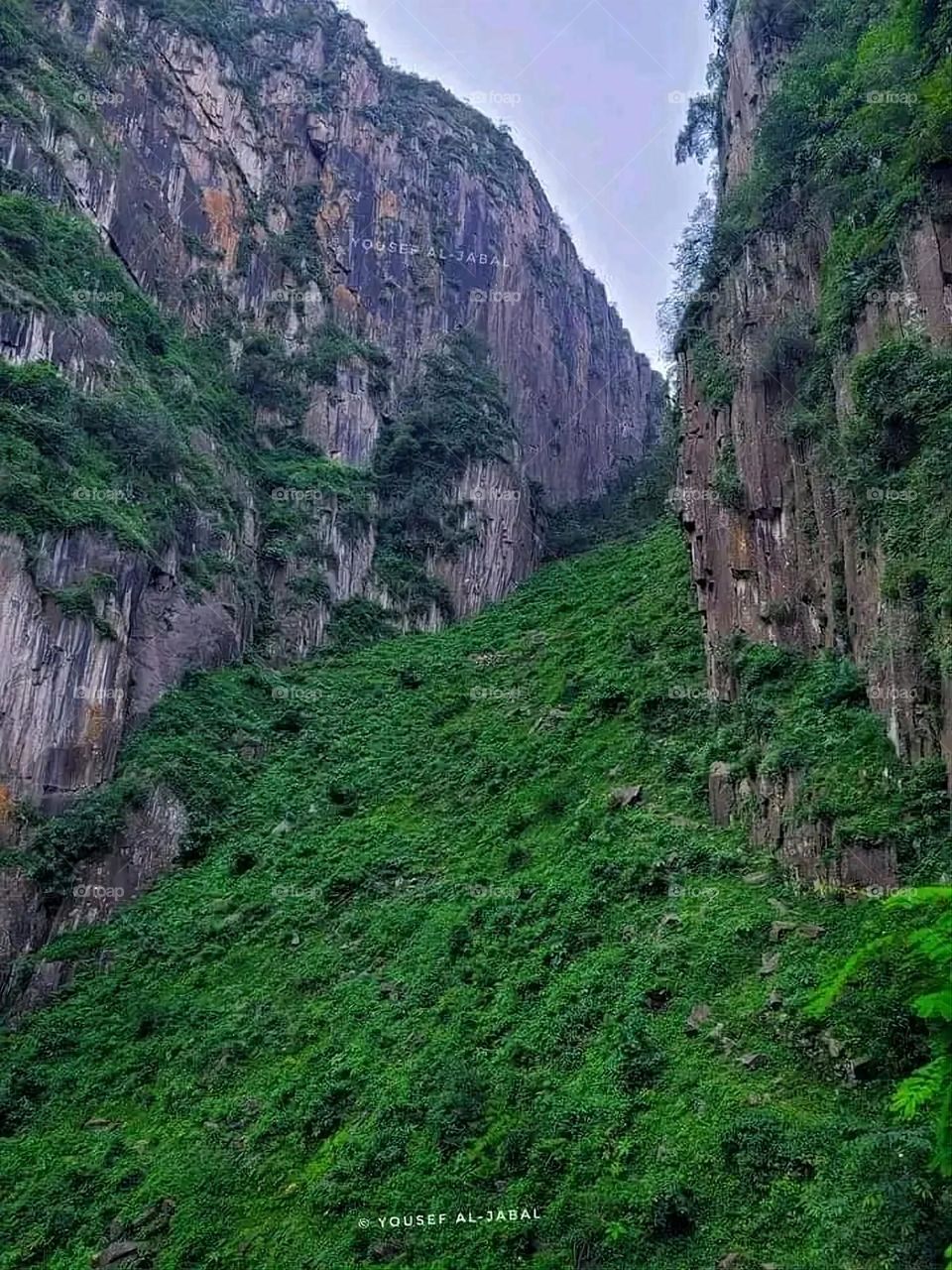 A very beautiful picture, and there is no better picture than it. There is no better picture of green herbs and colorful, red and white roses than it. Glory be to God, the natural and picturesque view, and there is no more