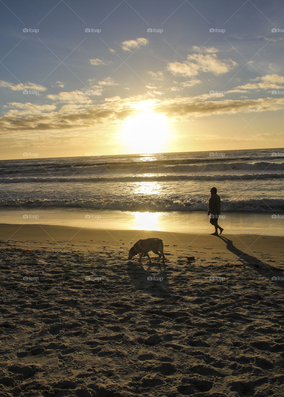 A dog walker on the California coast.