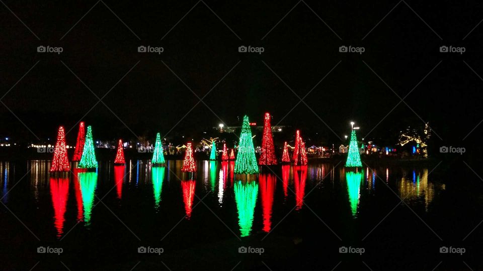 Christmas Trees on Water at Theme Park