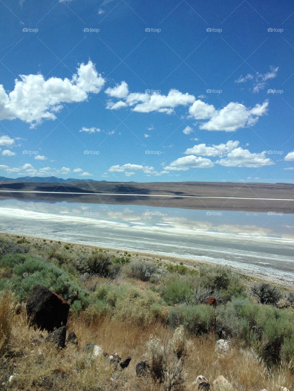 Alkaline lake Oregon