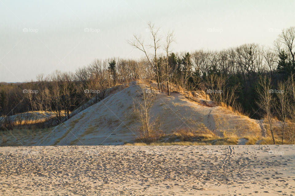 sand dune. a sand dune