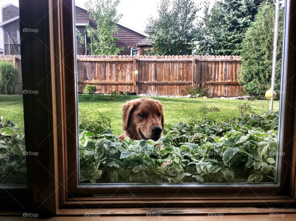 Looks like we have a peeping Tom...