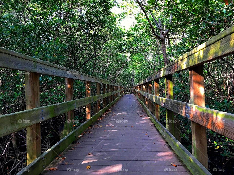 Bridge, Wood, Guidance, Road, Nature