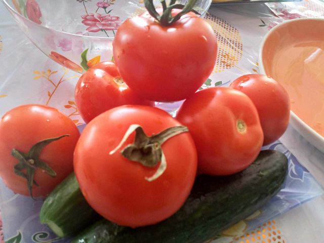 tomato