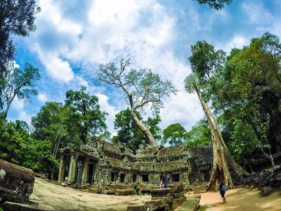 Ta Prohm, the overgrown temple of Angkor, Cambodia.. Ta Prohm (tomb raider temple) of Angkor where nature has run riot.