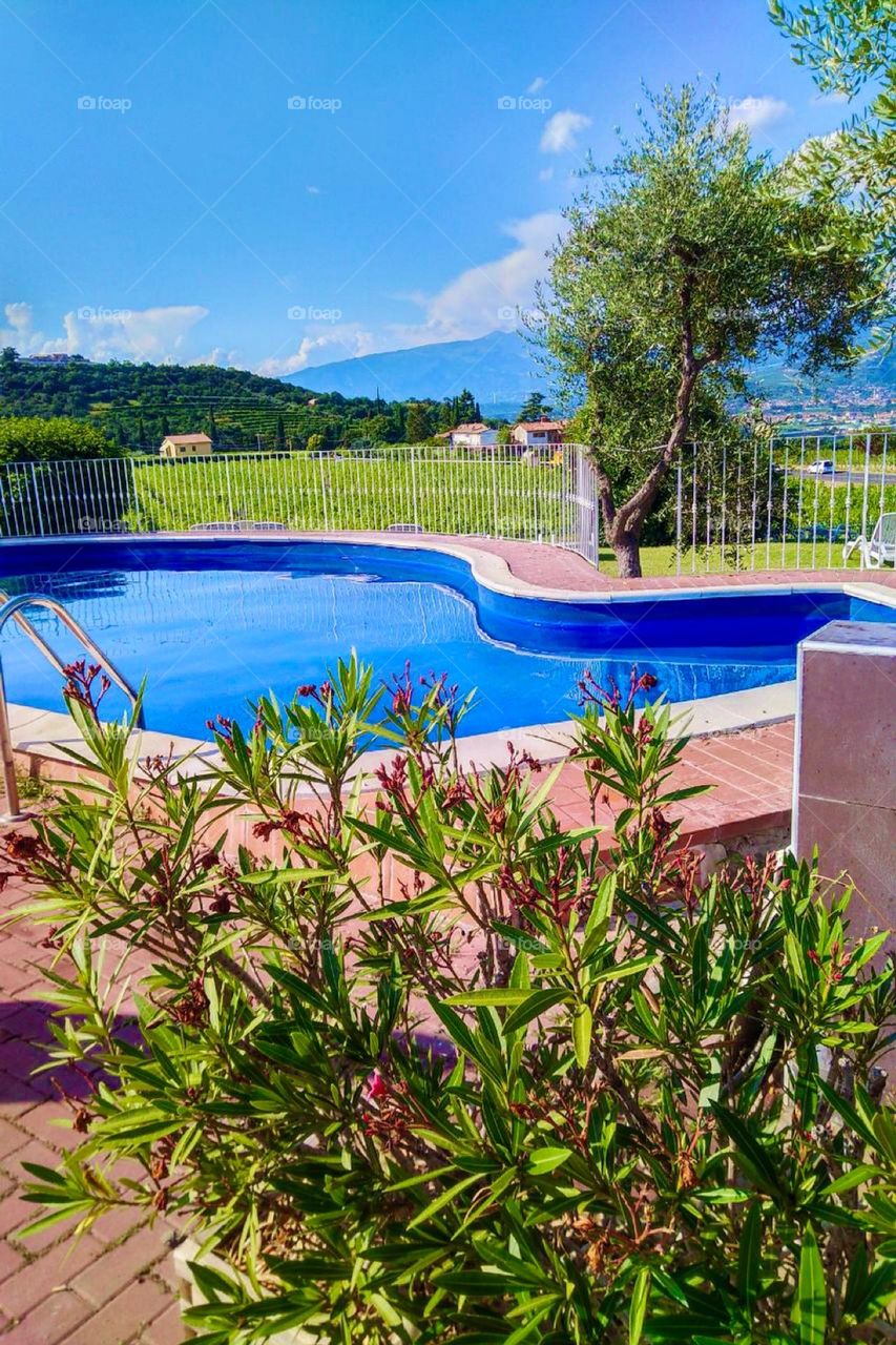 The hotel swimming pool at the vacation resort near the „Lake Garda“, the „Lago di Garda“ in „Northern Italy“ near the „Alps“ makes it easy to dive into its inviting water and the swerving shape adds a touch of modern art. 2023. Hypnotic Productions