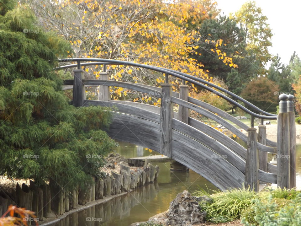 Moon Bridge at Mizamoto Japanese Garden in Springfield, Missouri.