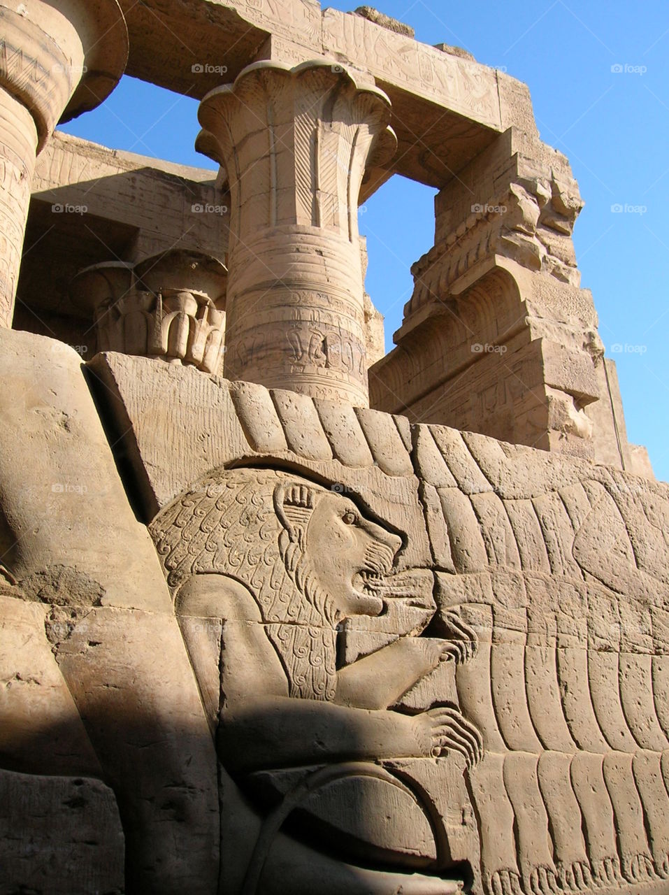 Majestic carvings of Egypt