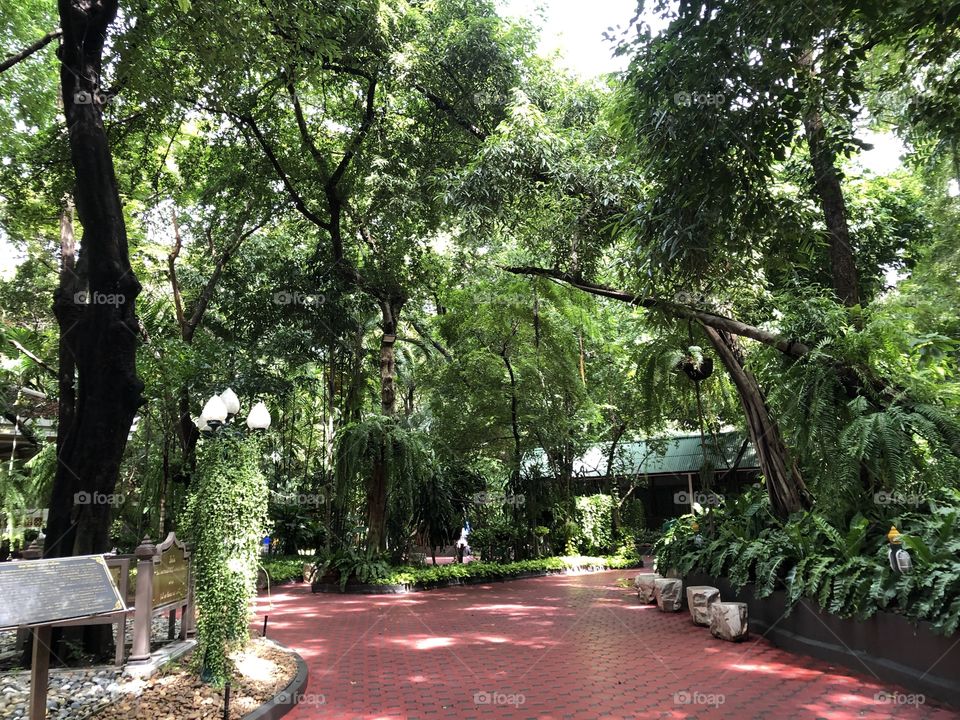 The green color stories, Temple in Bangkok 