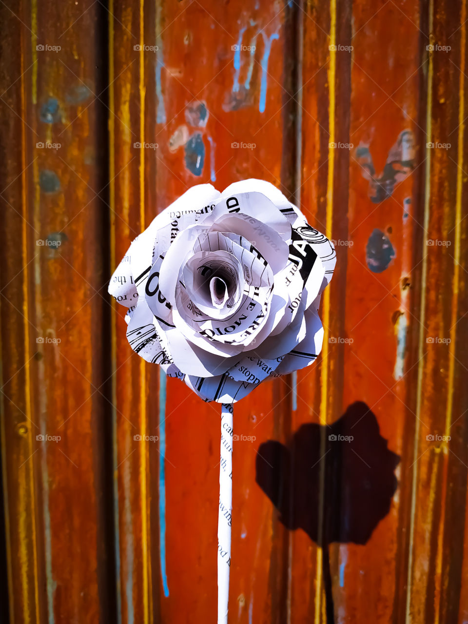 Rose paper made from white paper against the backdrop of the old door.