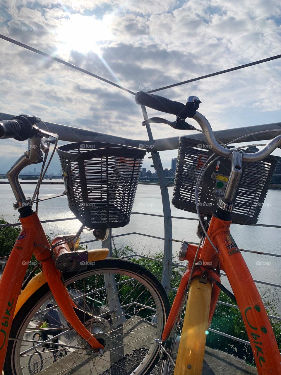 Bicycles by the river