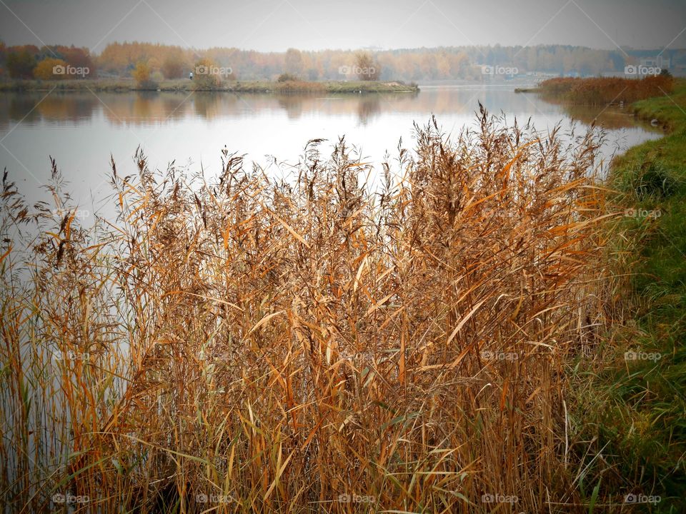 autumn lake