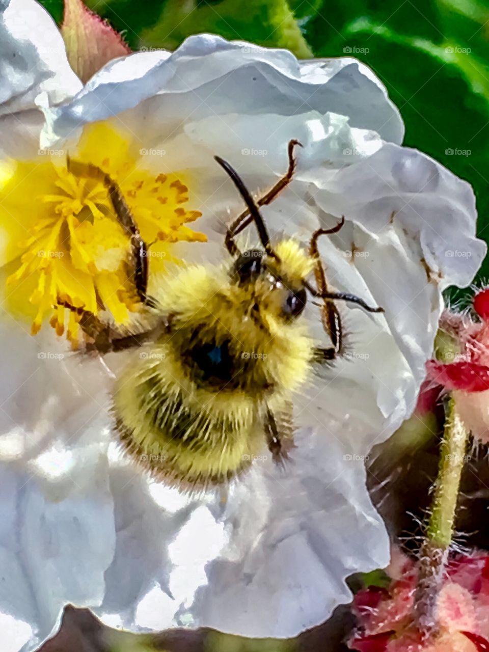 Who You Lookin’ At? 