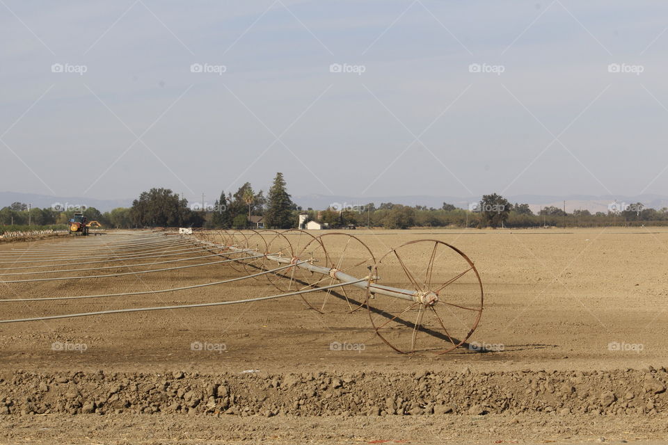 irrigation farmland