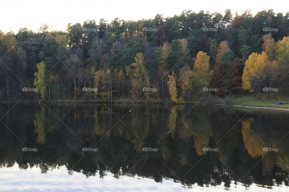 Colorful Autumn - reflection on calm water - höst spegelblank sjö skog
