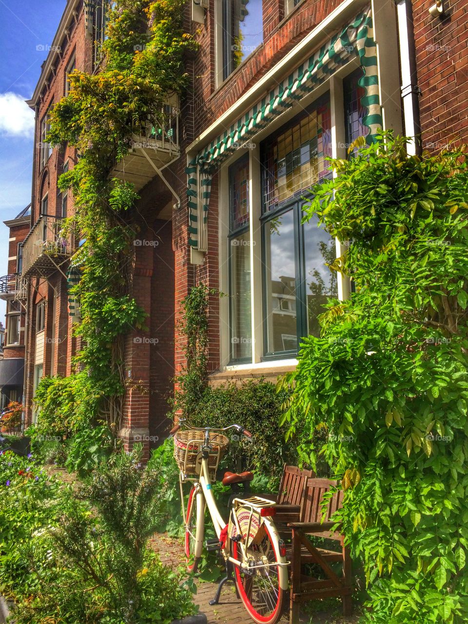 Bicycle in Utrecht  . Bicycle in a garden Utrecht  