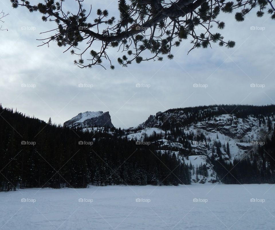 Winter Wonderland - Rocky Mtn. Natl. Park, Bear Lake, CO