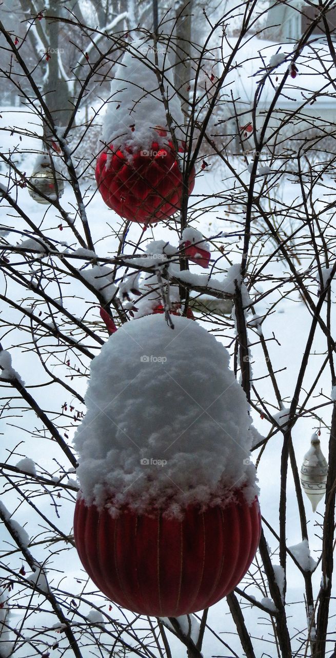 Xmas in Boucherville