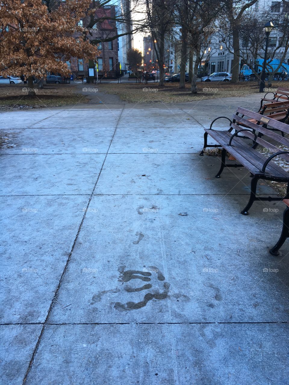 Fresh footprints in the snow in a city park 
