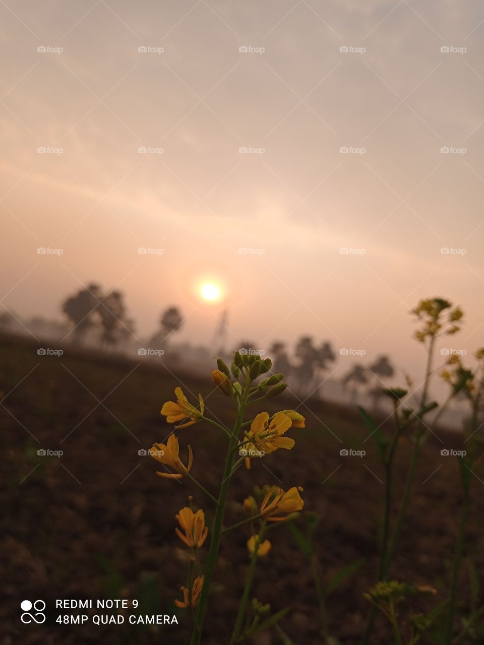 How much do you like this photo?