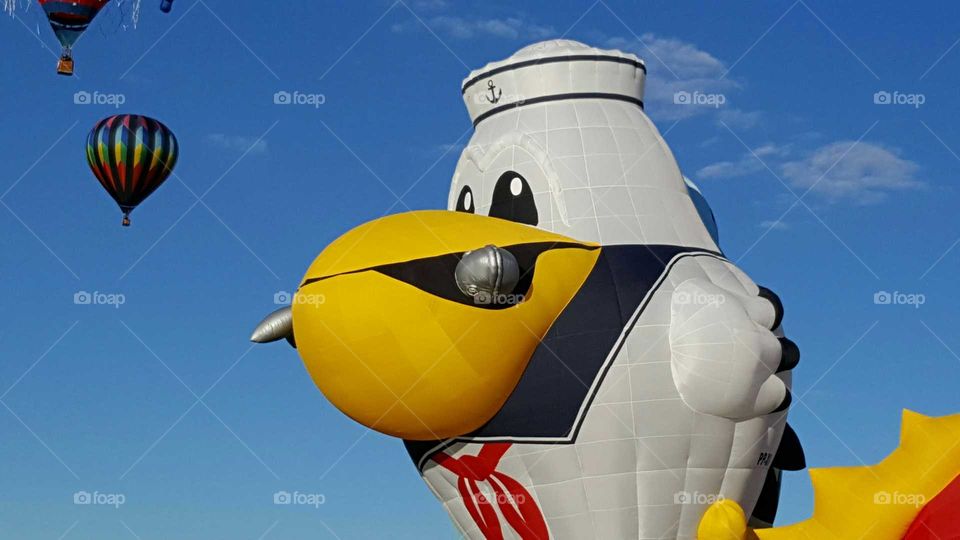 Close up Pelican balloon
