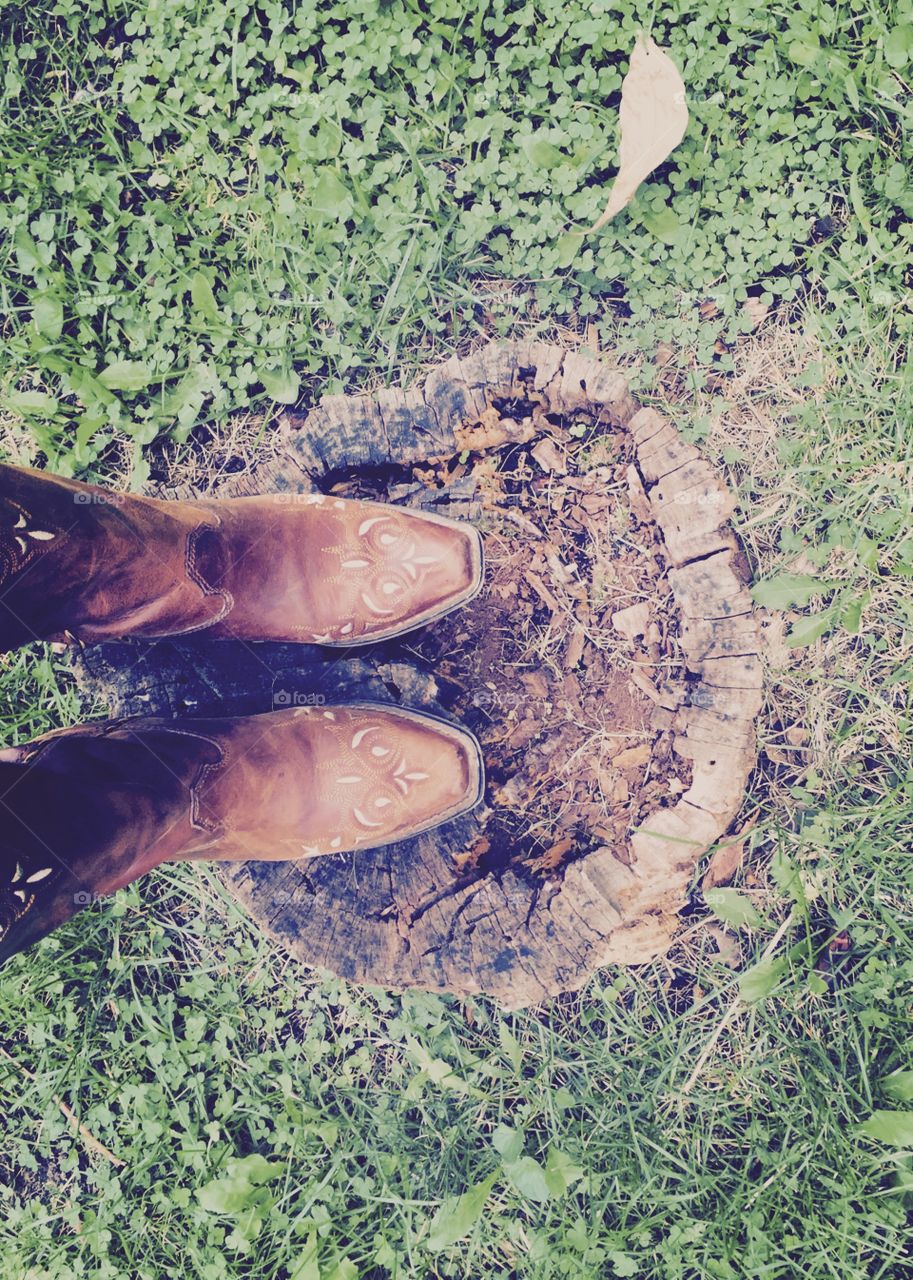 Boots and Stump