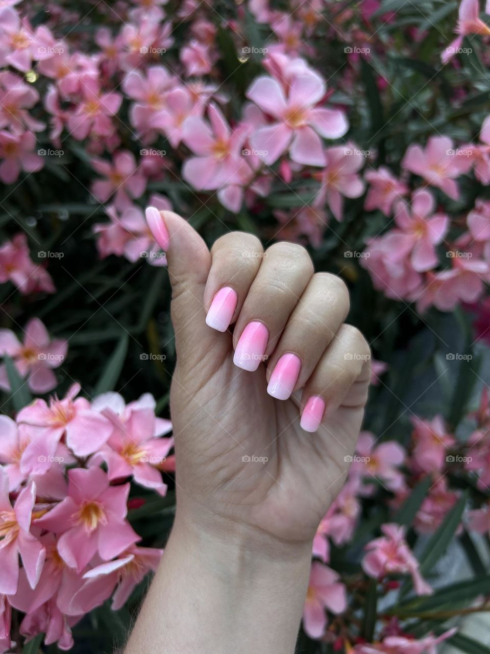 Pink gradient nail design and manicure 
