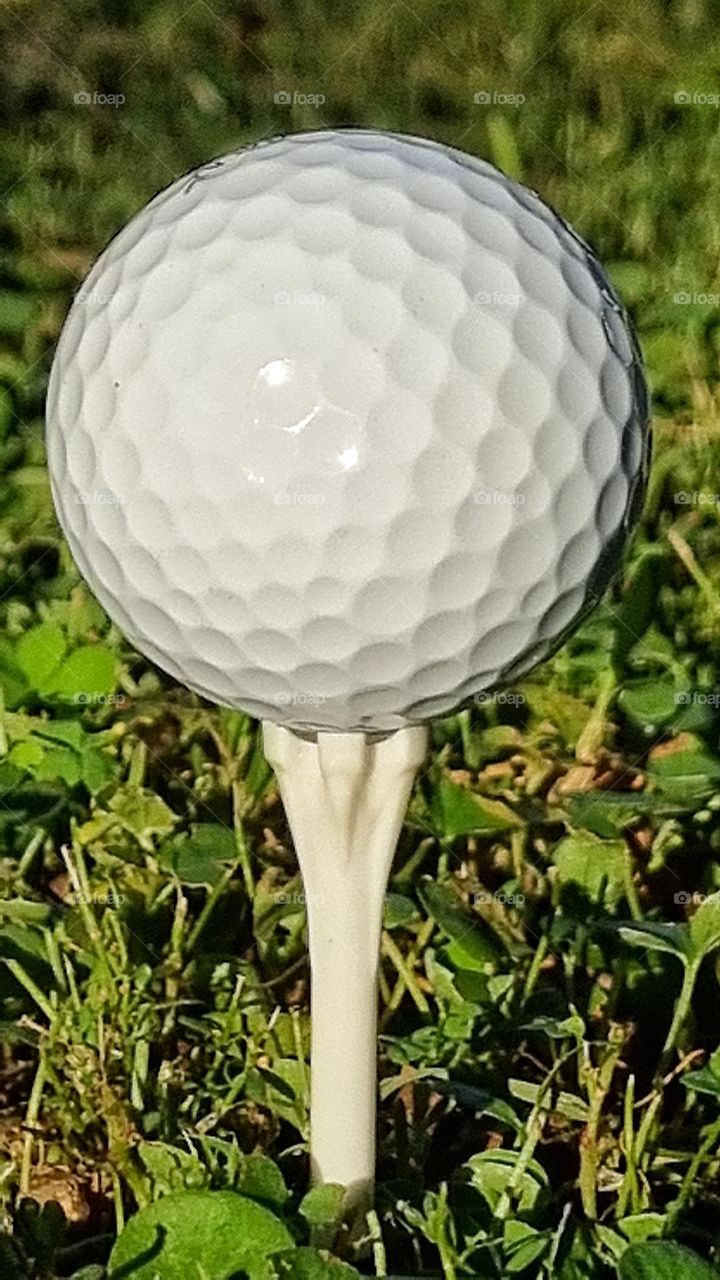 close-up of a golf ball and the circles in its structure.