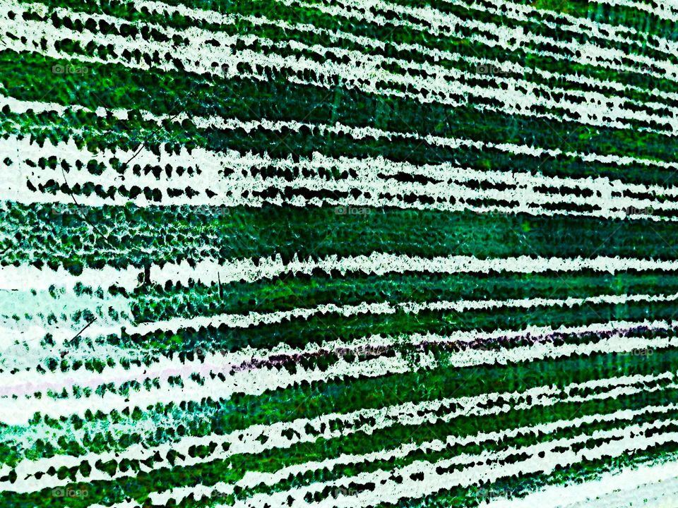 My redesign and art work 