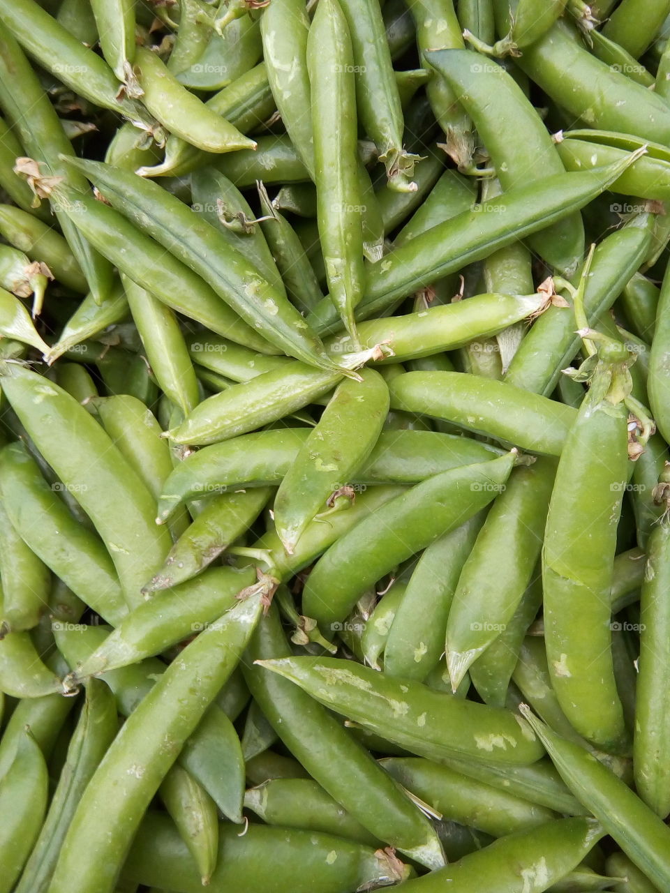 peas- a green tasty vegitable