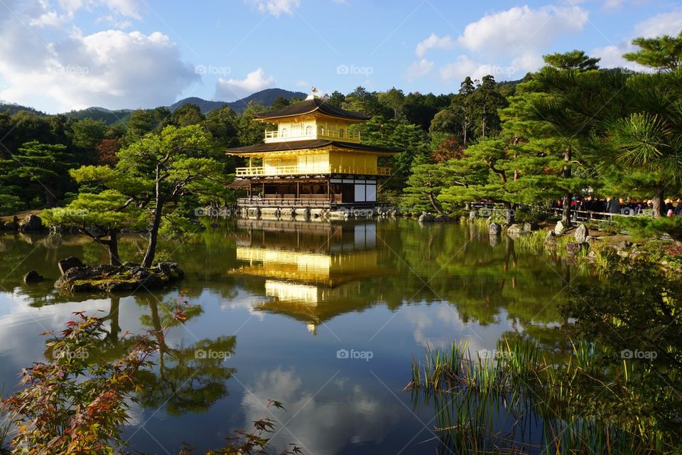 The Golden Pavillion 