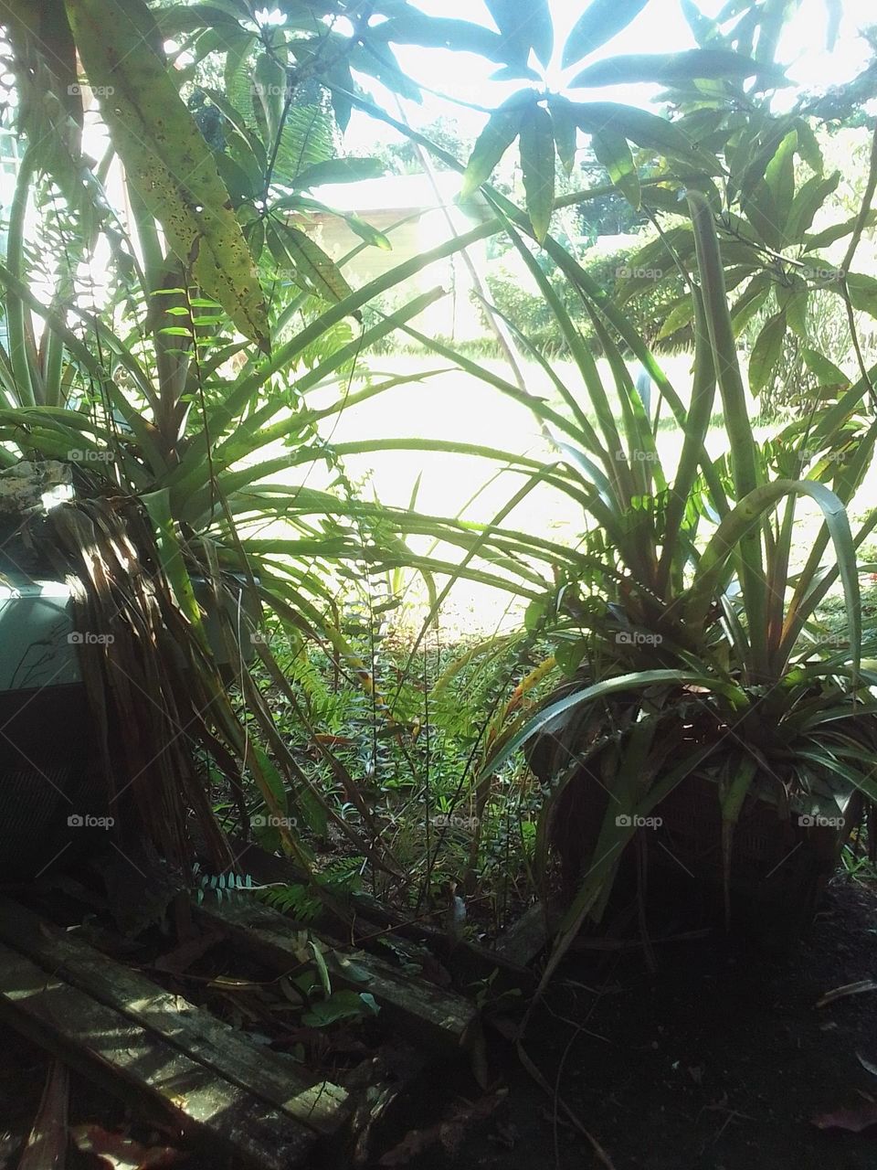 not everyone is a friend of nature . but I personally love nature because I'm always at peace.