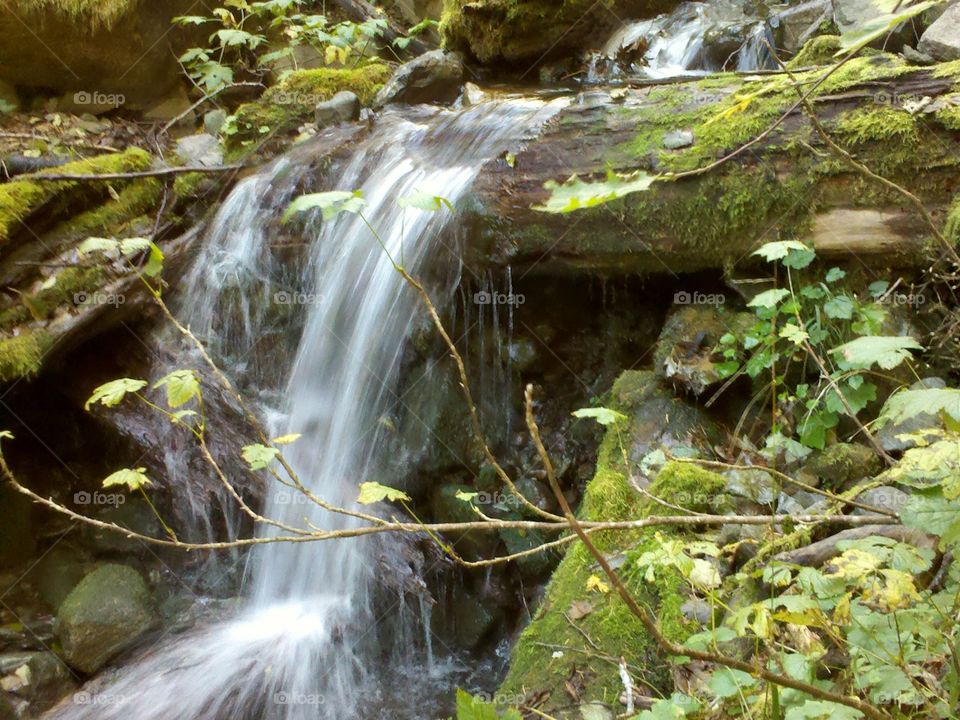 waterfall over log