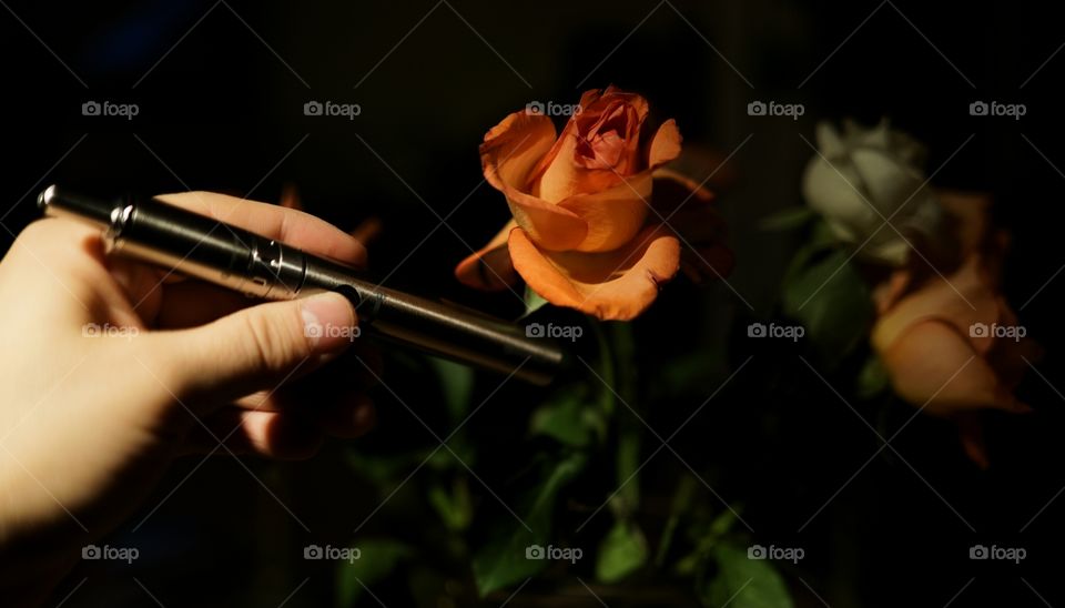 Electronic Cigarette and a Rose