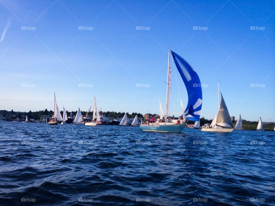 Sailing regatta