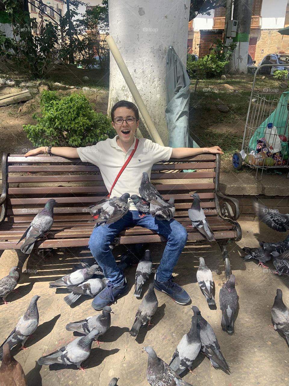 My birds and I 