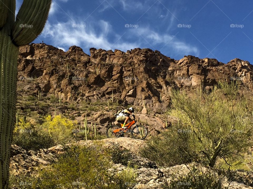 Extreme Sports - Mountain Biking 