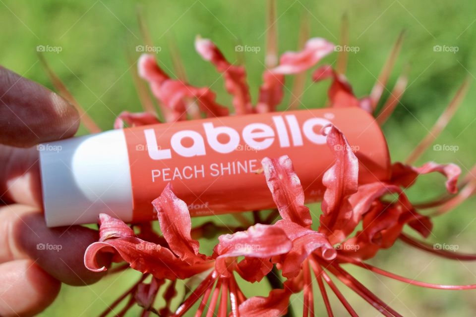 Labello Peach Shine 