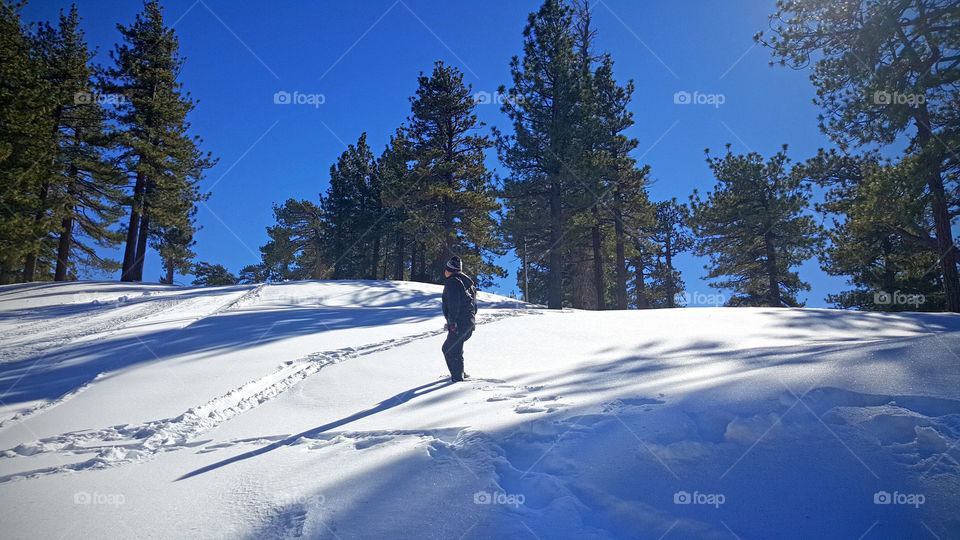 man on snow