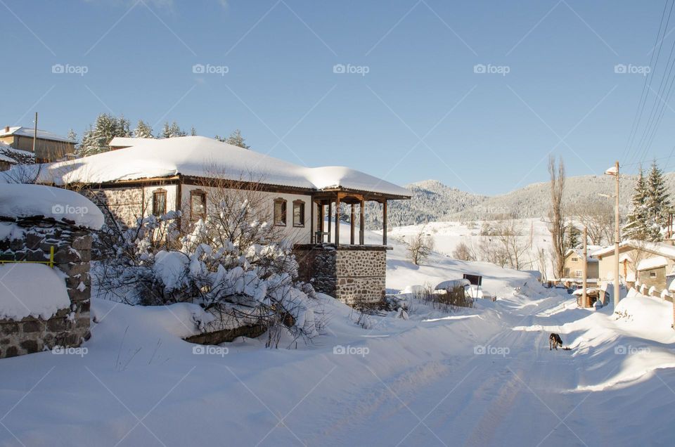 Winter landscape, Ravnogor Village, Bulgaria