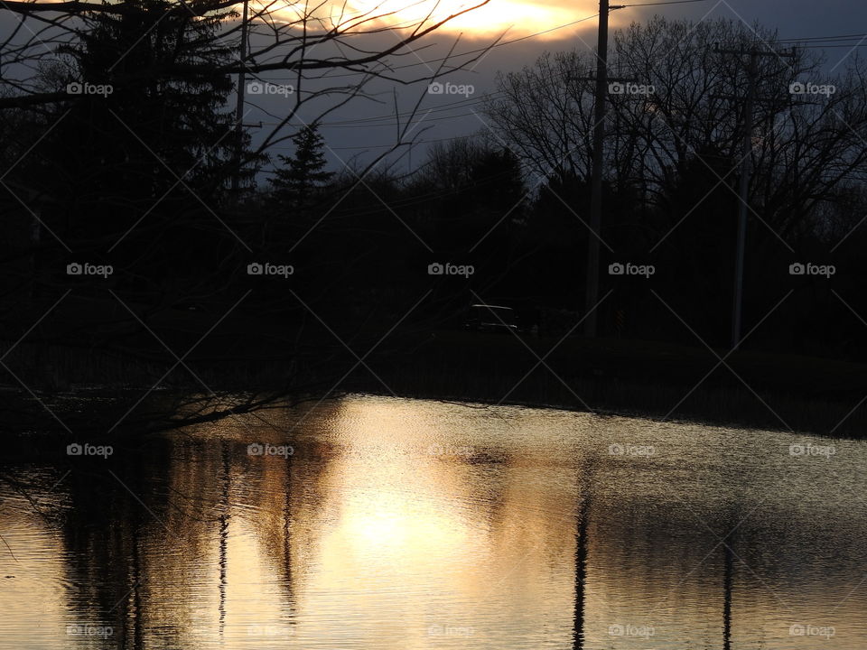 Sunset on the Pond