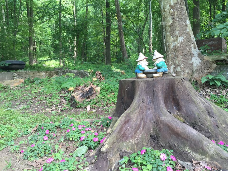 Gnomes resting on a stump