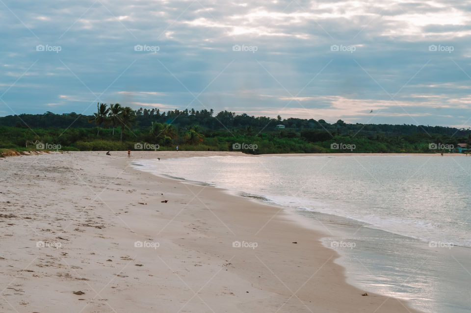 Red Crown Beach Bahia Brazil