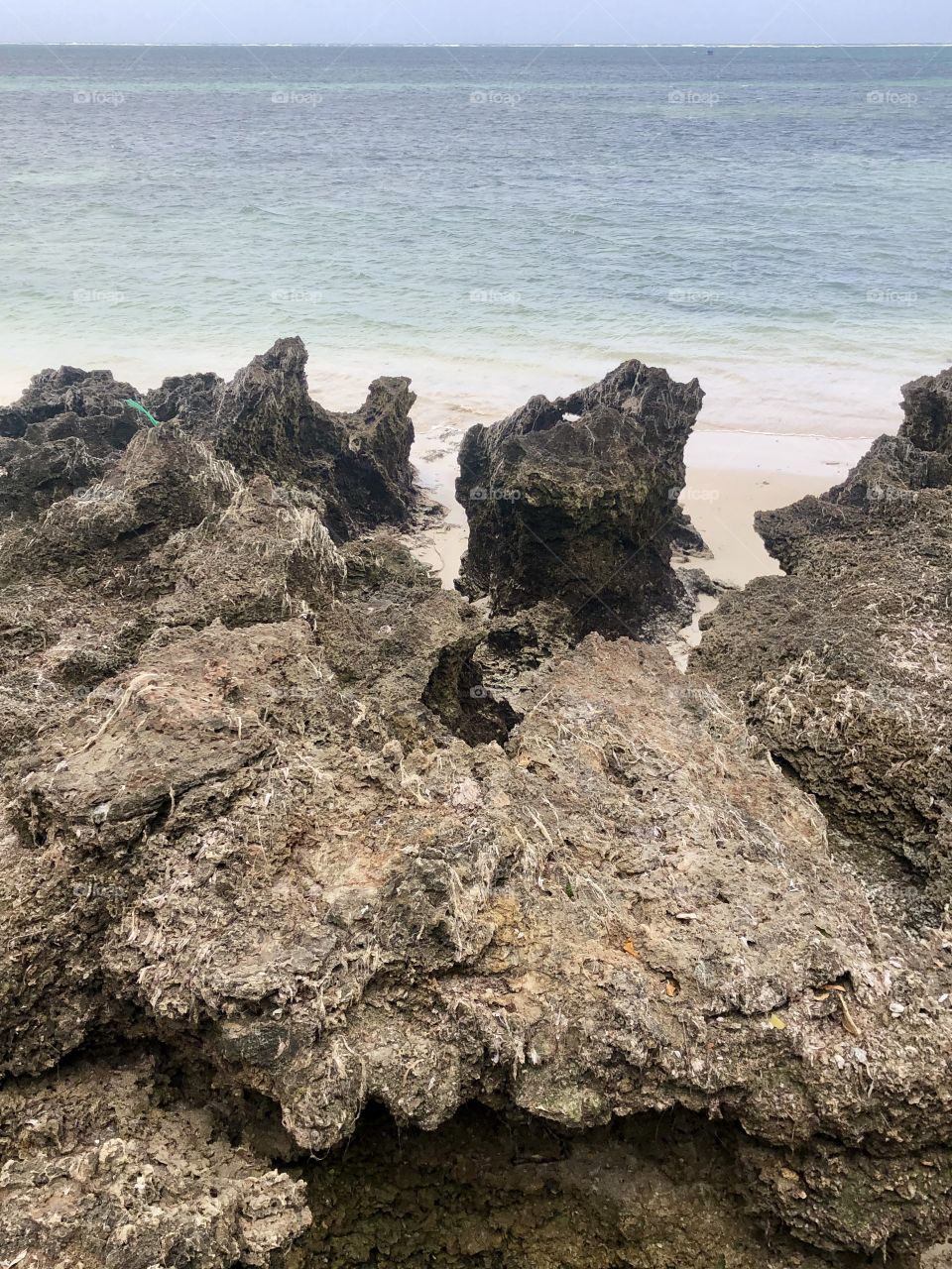 Beautiful Coral Rocks 